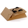 Kraft Paper Bags